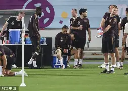 今晨体能课后，多特蒙德迎来里程碑备战德国杯，底气十足，数据趋势出现新变化的简单介绍-玖鼎网址