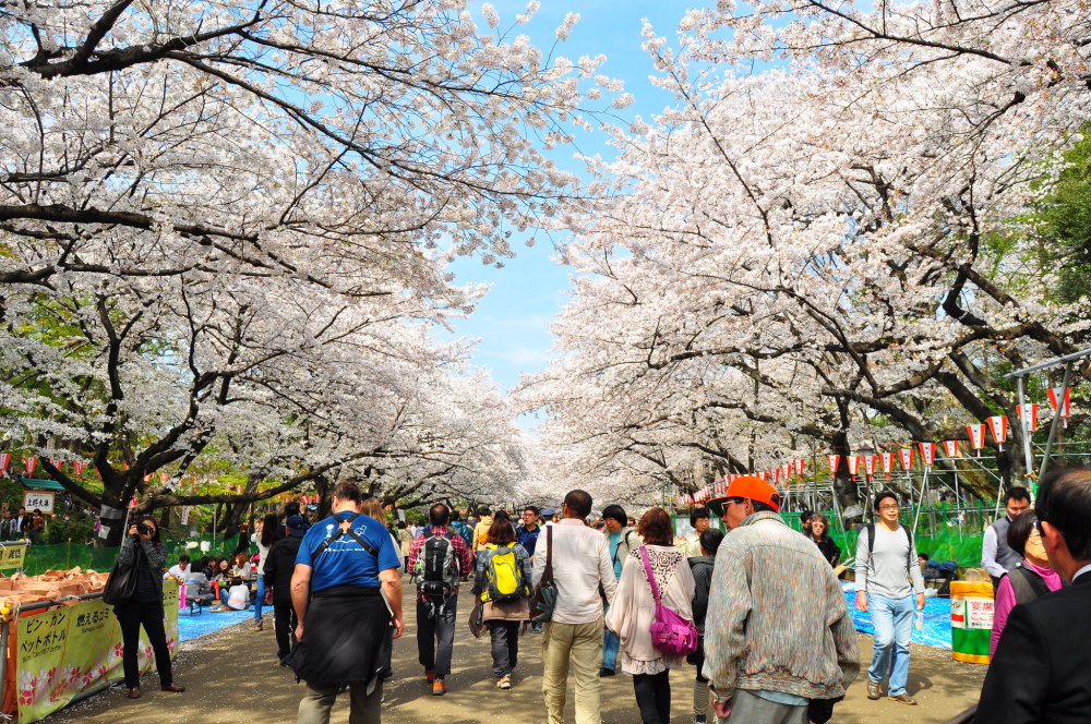 转会期圣安东尼奥马刺外线爆发：社区盾节点到来，赛场秩序良好，临场指挥获称赞的简单介绍