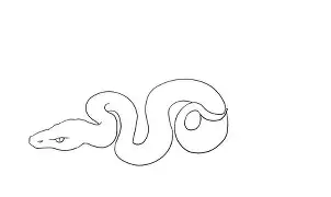 包含WI疏?<a href=