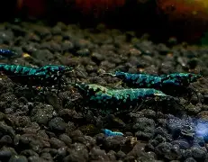 包含WI疏?N&jJ蟒>袩的词条